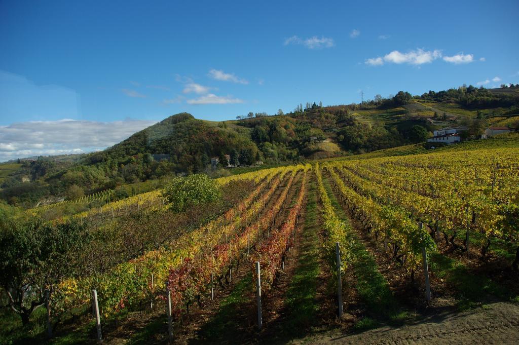 Agriturismo Rupestr Canelli Dış mekan fotoğraf